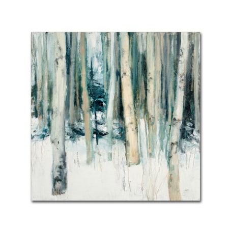 TRADEMARK FINE ART Julia Purinton 'Winter Woods II' Canvas Art, 35x35 WAP00802-C3535GG